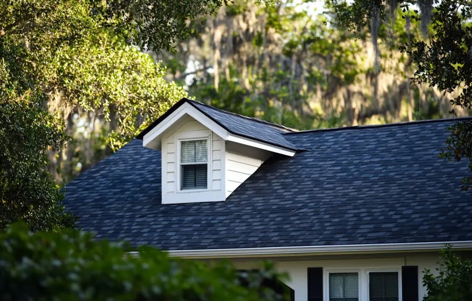 roof shingles in Northern Florida