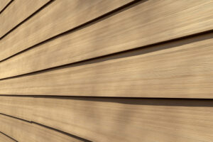 How Long Siding Last, Williamsburg, VA