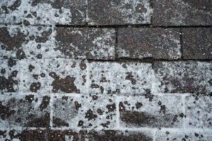 hail damage on roof, Wilmington