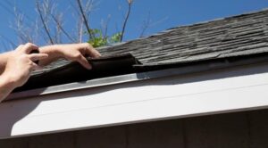 roof maintenance myths in Wilmington