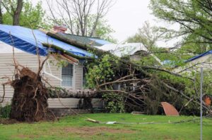 tree damage on roof in Winston Salem, NC