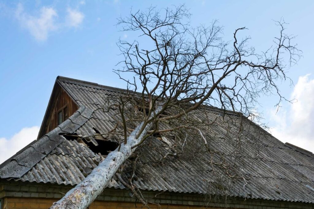 what to do when a tree falls on a roof in Winston Salem, NC