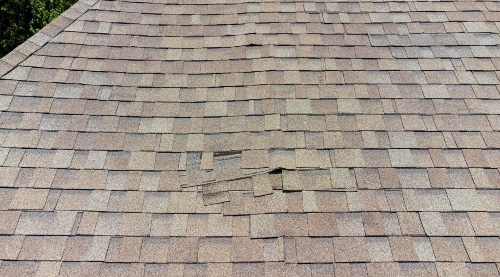 roof leak detection in Winston Salem, NC