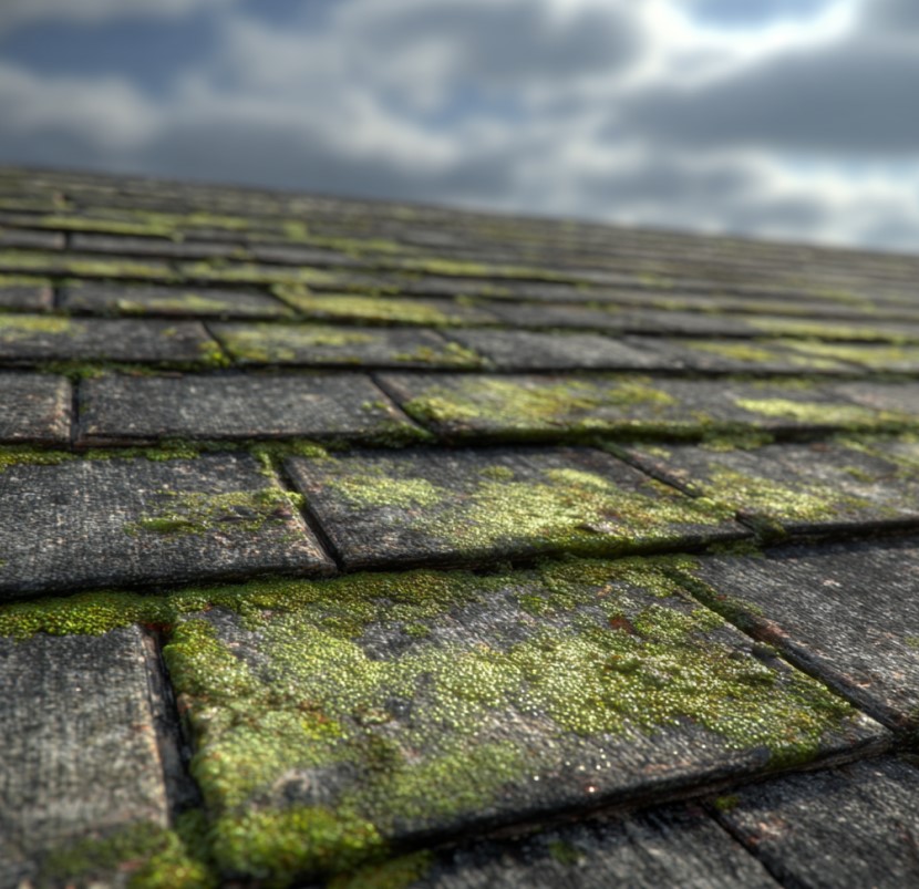 hidden dangers of humid climates on roof lifespan in Winston Salem, NC